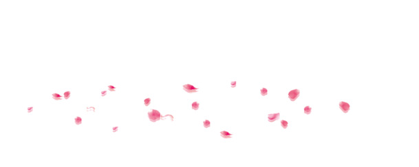 花瓣