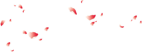 浪漫粉色花瓣素材图