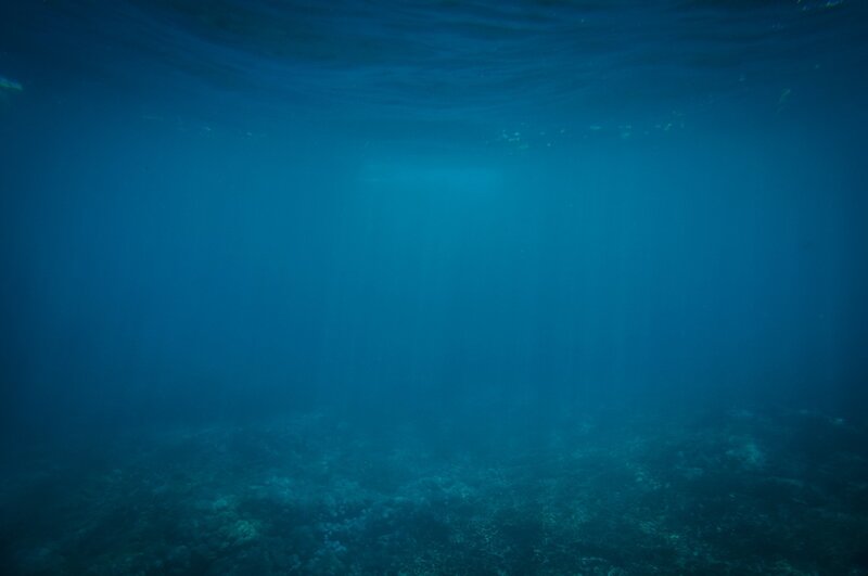 水  海 深海 海底