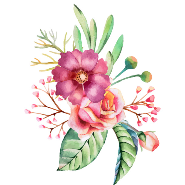 手绘水彩花朵花草装饰图案