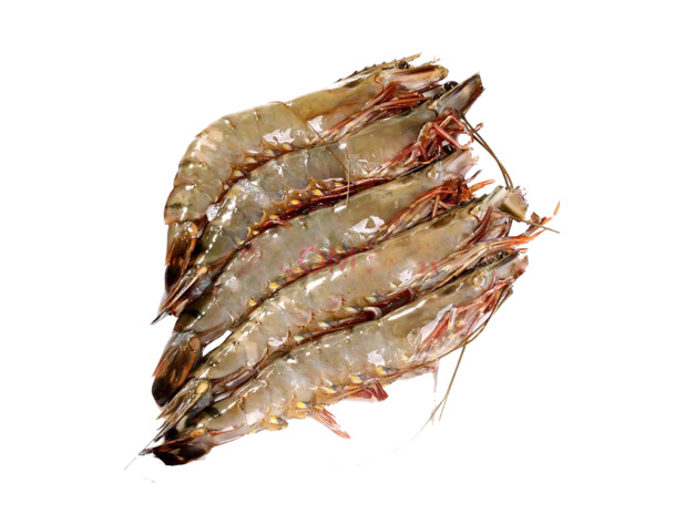 五个进口越南薄皮黑虎虾