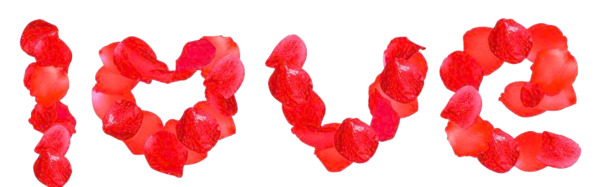LOVE玫瑰花瓣艺术字