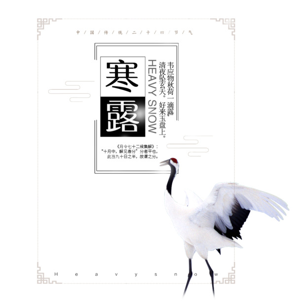 寒露海报标题