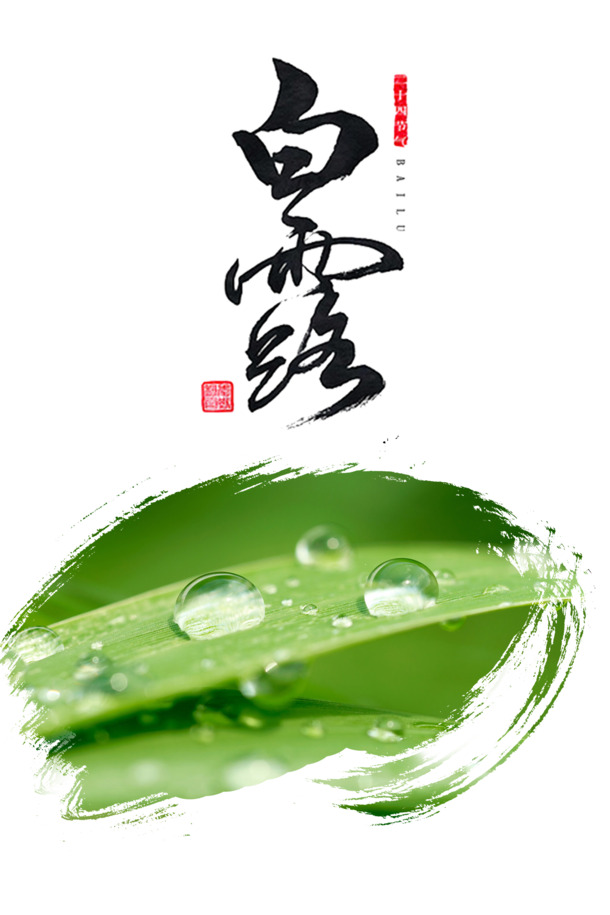 白露节气 白露 字体 印章