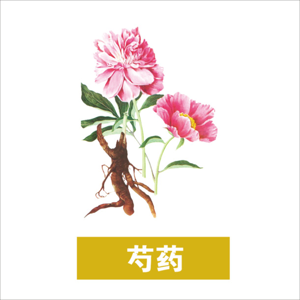 芍药