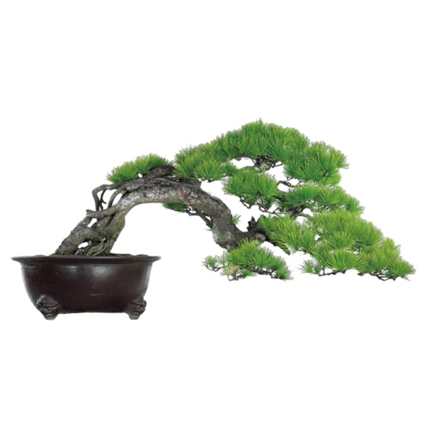 松树