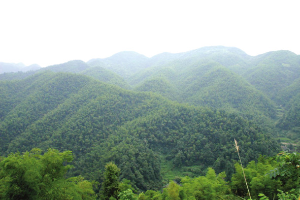 连绵不绝的山峰