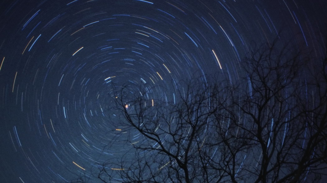 3840x2160 树 树枝 星星 冰柜灯 夜晚 深色壁纸 背景 4k uhd 16:9