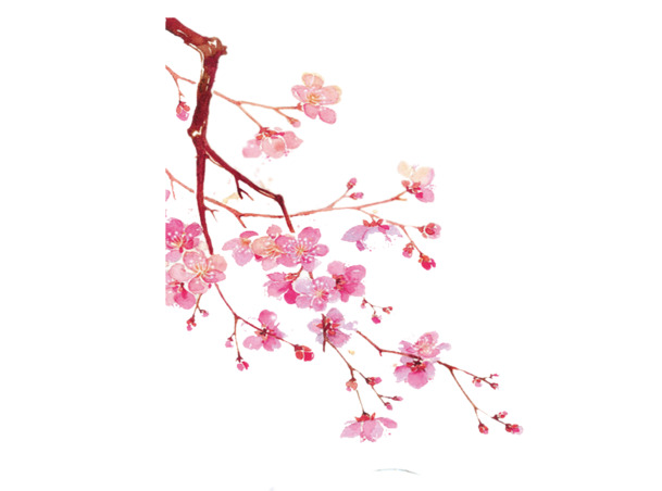 梅花元素