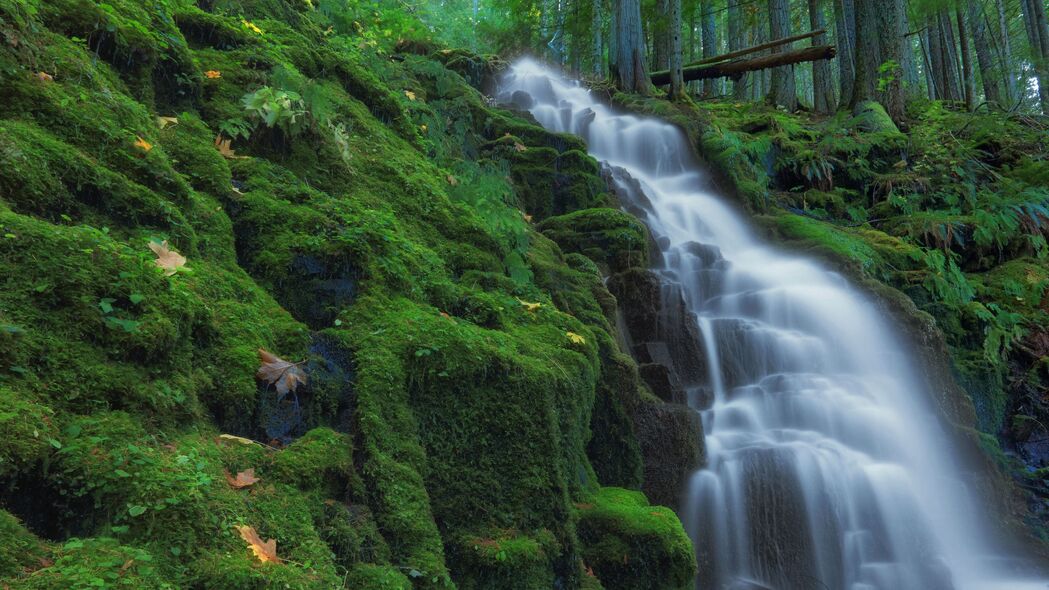 3840x2160 瀑布 苔藓 风景 自然壁纸 背景4k uhd 16:9