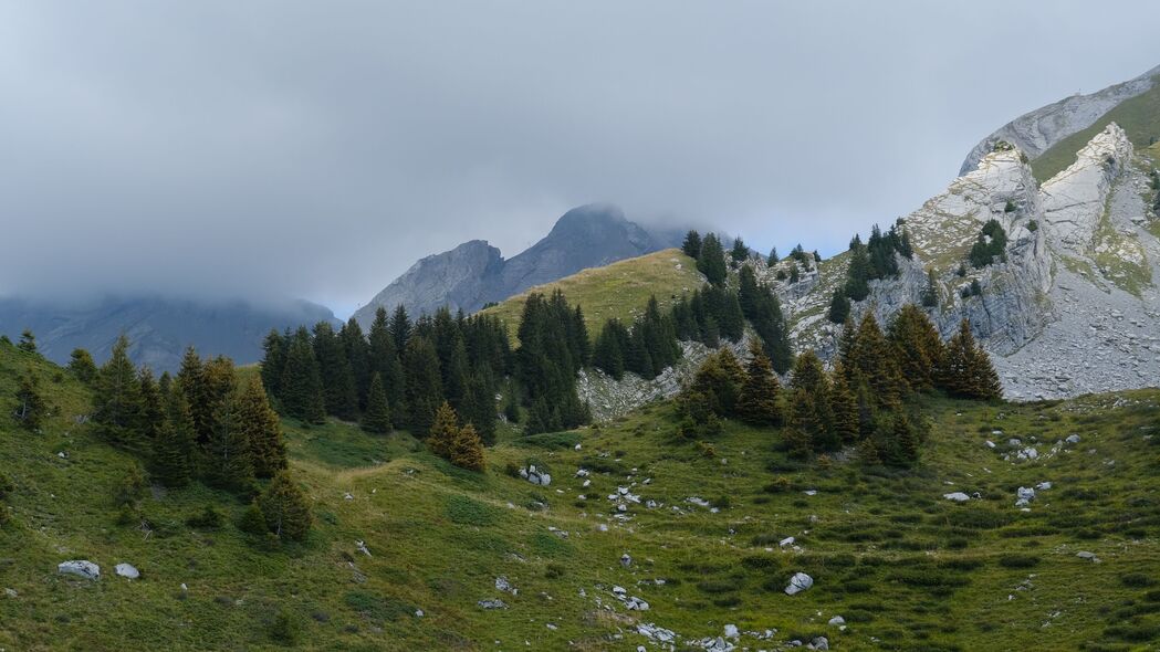 3840x2160 山脉 丘陵 树木 雾 石头 草 自然壁纸 背景4k uhd 16:9