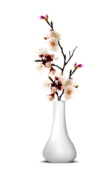 粉色桃花