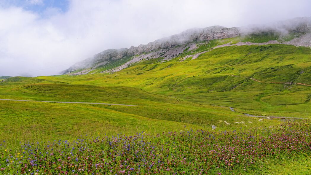 3840x2160 山谷 花 草 山 风景壁纸 背景4k uhd 16:9