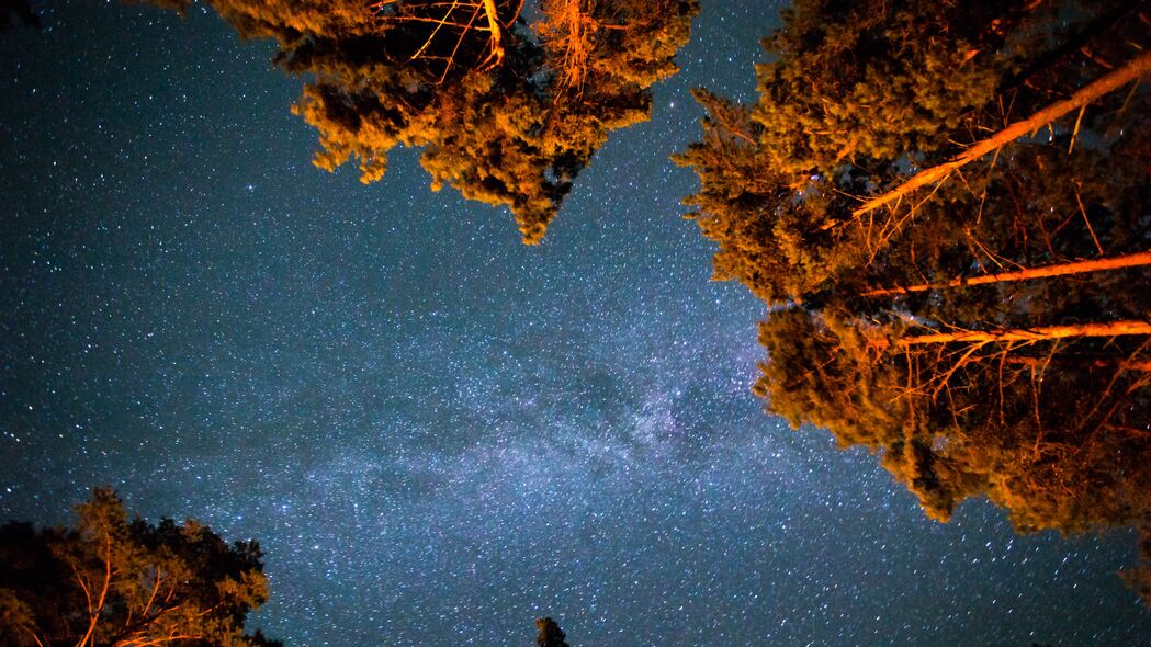 3840x2160 星空 星星 夜晚 树木 仰视壁纸 背景4k uhd 16:9