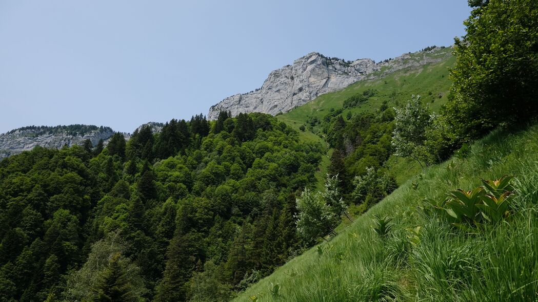 3840x2160 山 坡 草 景观 树木壁纸 背景4k uhd 16:9