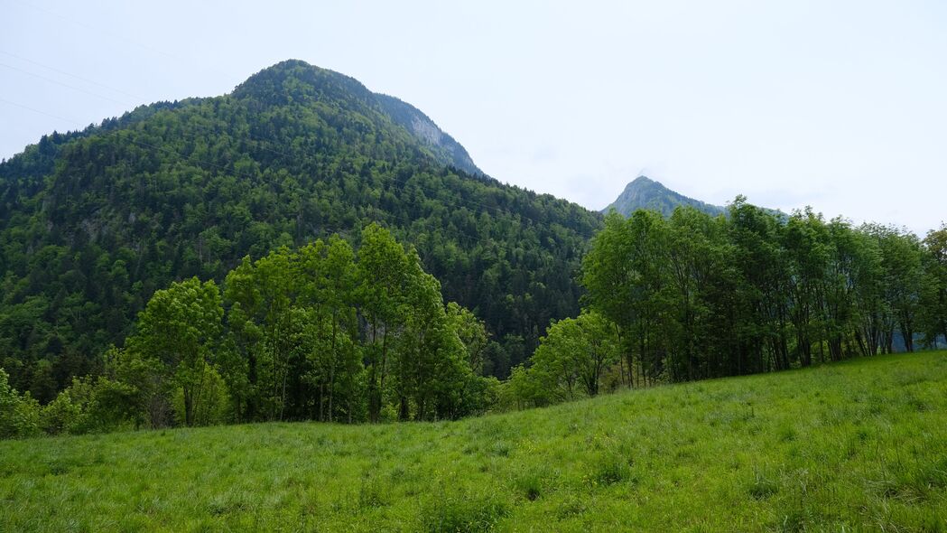 3840x2160 山 树 草 田野壁纸 背景4k uhd 16:9