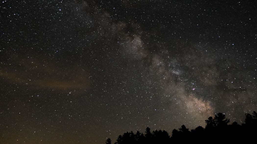 3840x2160 棵树 星空 星星 夜晚 剪影壁纸 背景4k uhd 16:9