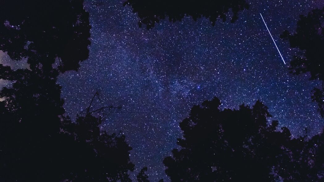 3840x2160 树 天空 夜晚 星星壁纸 背景4k uhd 16:9