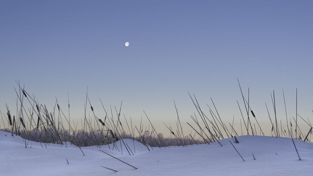 3840x2160 雪 草 月亮 晚壁纸 背景4k uhd 16:9