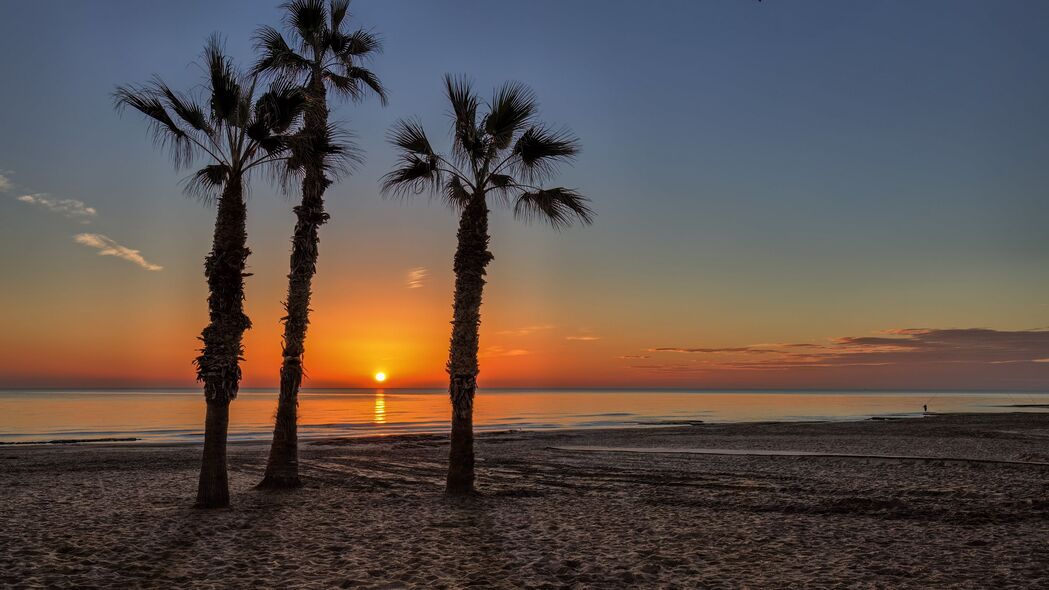 3840x2160 棕榈树 海滩 沙滩 海洋 热带 日落壁纸 背景4k uhd 16:9