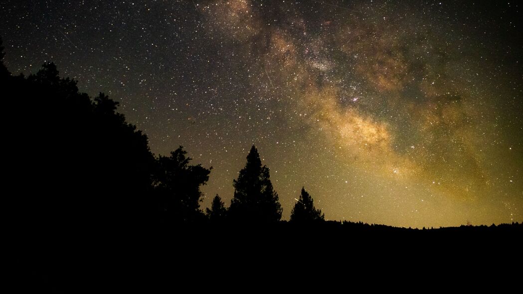 3840x2160 棵树 剪影 银河 星空 夜间壁纸 背景4k uhd 16:9