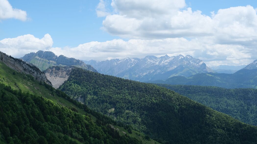 3840x2160 斜坡 山 树 草壁纸 背景4k uhd 16:9