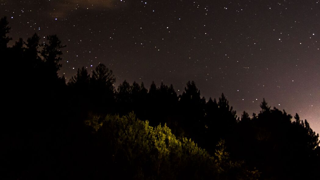 3840x2160 树木 森林 剪影 星星 夜晚 自然 4k壁纸 uhd 16:9