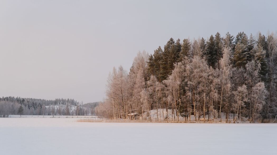 3840x2160 树木 雪 冬天 自然 风景 4k壁纸 uhd 16:9