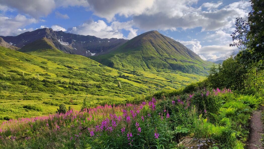 3840x2160 山脉 山谷 花 草 风景 4k壁纸 uhd 16:9