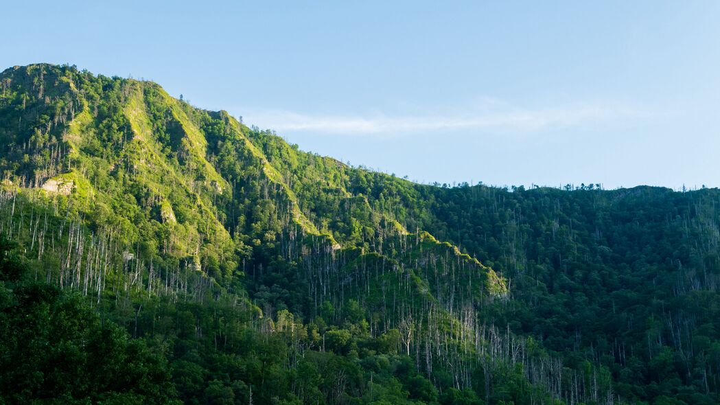 3840x2160 山 森林 树木 景观 绿色 4k壁纸 uhd 16:9