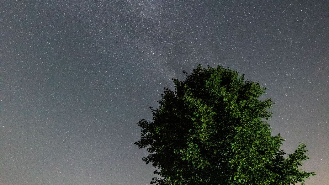 3840x2160 树 树叶 星星 夜晚 天空 4k壁纸 uhd 16:9