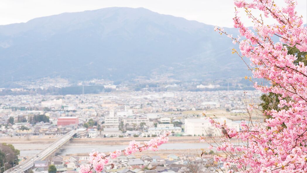 3840x2160 樱花 城市 春天 光 日本 4k壁纸 uhd 16:9