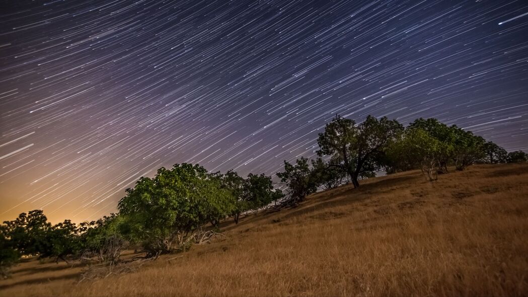 3840x2160 星星 长曝光 树木 夜晚 风景 4k壁纸 uhd 16:9