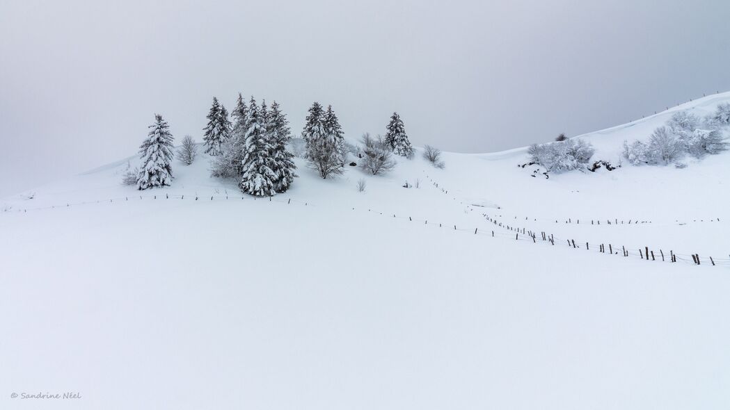 3840x2160 山丘 雪 树 云杉 冬季 4k壁纸 uhd 16:9