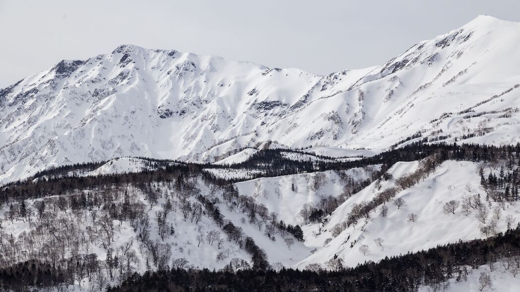 3840x2160 山 坡 雪 树 冬天 风景 4k壁纸 uhd 16:9