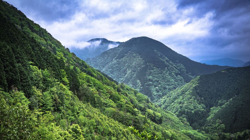 3840x2160 山脉 树木 森林 云 自然 风景 4k壁纸 uhd 16:9