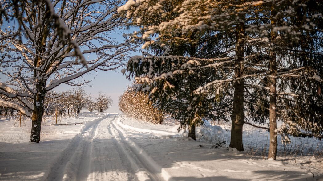 3840x2160 道路 雪 小径 树木 冬季 4k壁纸 uhd 16:9