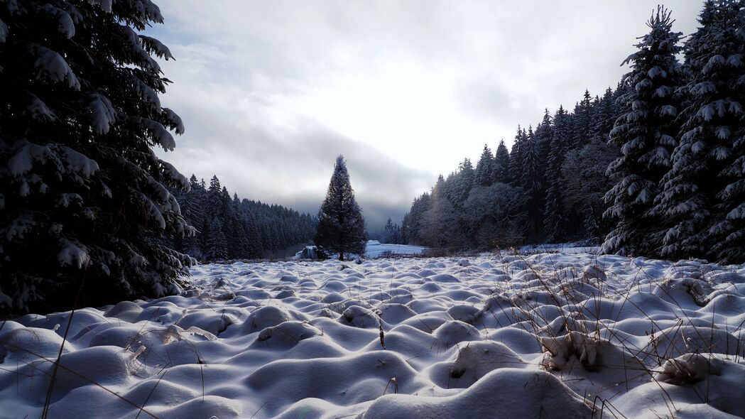 3840x2160 田野 树木 雪 冬天 自然 4k壁纸 uhd 16:9