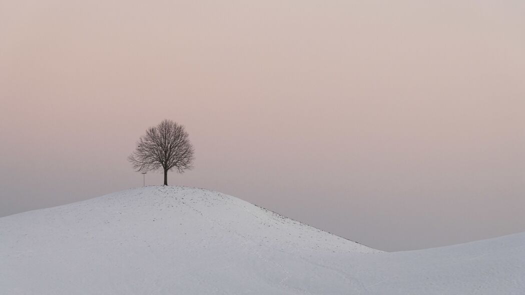 3840x2160 山丘 树 雪 冬天 黄昏 4k壁纸 uhd 16:9