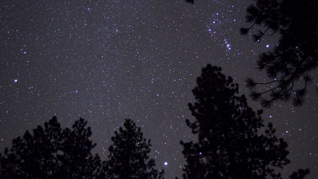 3840x2160 棵树 星空 星星 夜晚 黑暗 4k壁纸 uhd 16:9