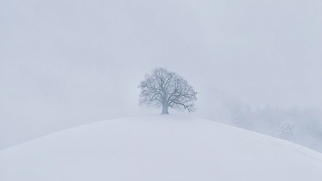 3840x2160 山丘 树 雪 冬天 白色 4k壁纸 uhd 16:9