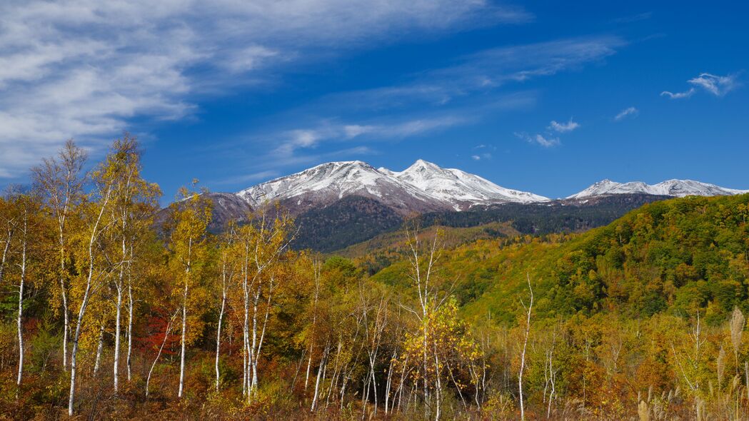 3840x2160 山 峰 森林 风景 4k壁纸 uhd 16:9