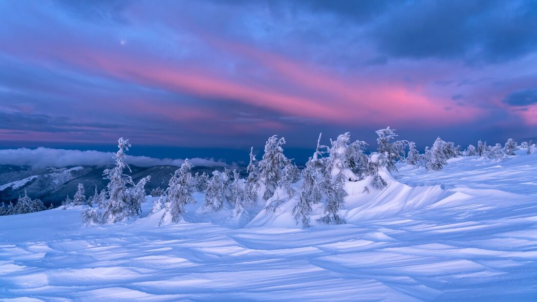 3840x2160 雪 树木 黄昏 冬天 风景 4k壁纸 uhd 16:9