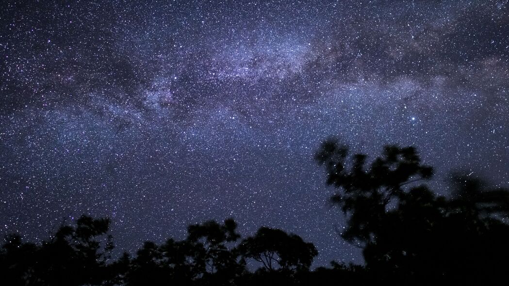 3840x2160 夜晚 星星 剪影 天空 树木 4k壁纸 uhd 16:9