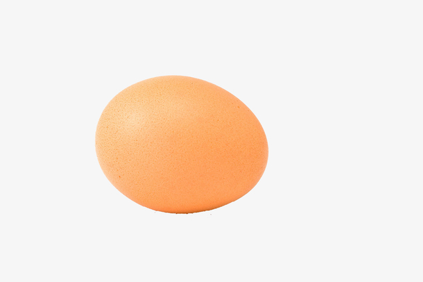 一个可爱的鸡蛋