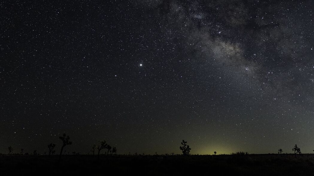 3840x2160 棵树 星空 星星 夜晚 地平线 4k壁纸 uhd 16:9