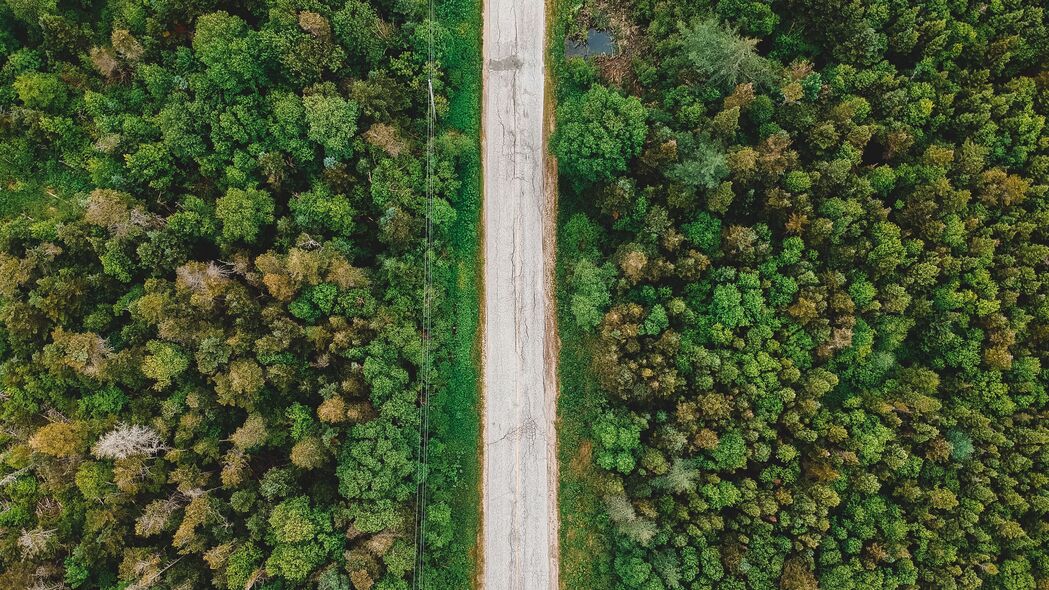 3840x2160 道路 鸟瞰图 树木 森林 电线 4k壁纸 uhd 16:9