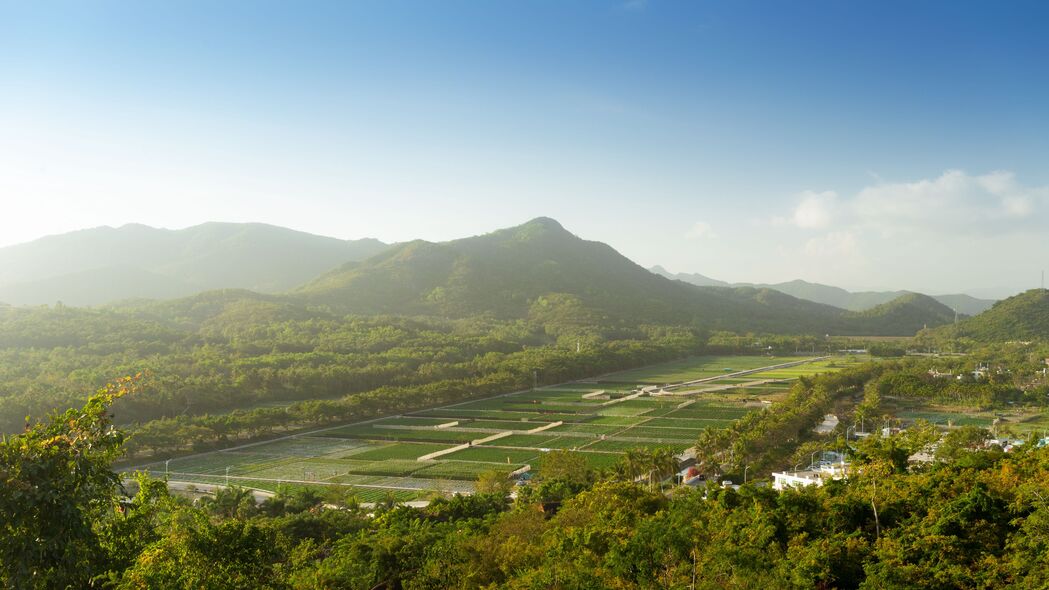 3840x2160 山 山峰 树木 种植园 4k壁纸 uhd 16:9