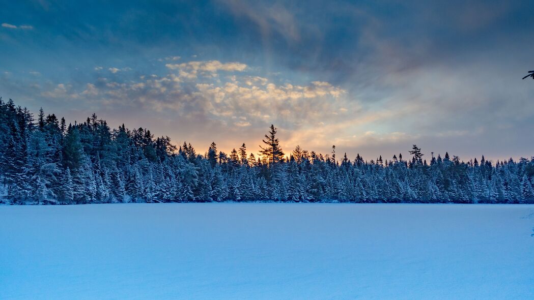 3840x2160 冬季森林 云杉 雪地 4k壁纸 uhd 16:9