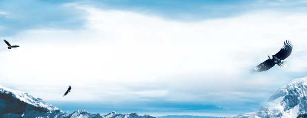 大鹏展翅冰天雪地背景